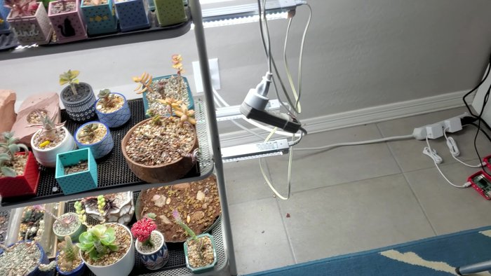 Move the plant stand back into its place. If necessary, repeat vacuuming to remove any remaining debris.