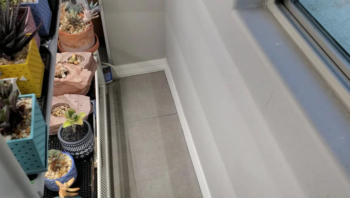 Move the plant stand back into its place. If necessary, repeat vacuuming to remove any remaining debris.