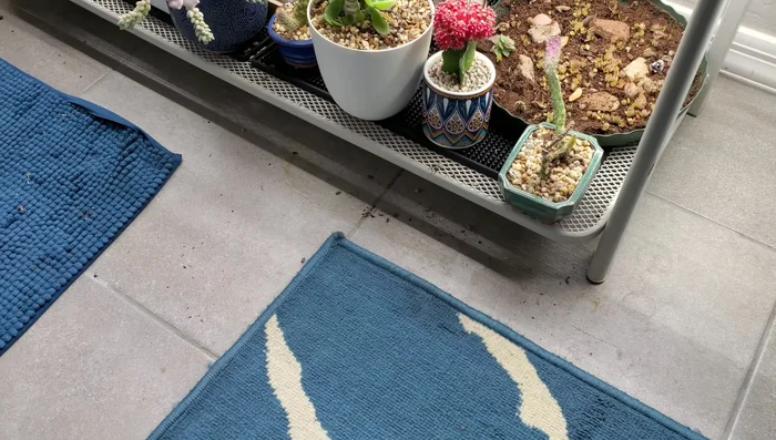 Move the plant stand back into its place. If necessary, repeat vacuuming to remove any remaining debris.