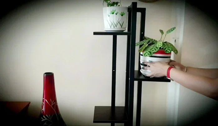 Make sure you can easily water the plants.