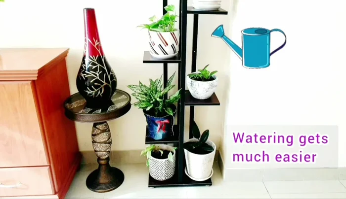 Make sure you can easily water the plants.
