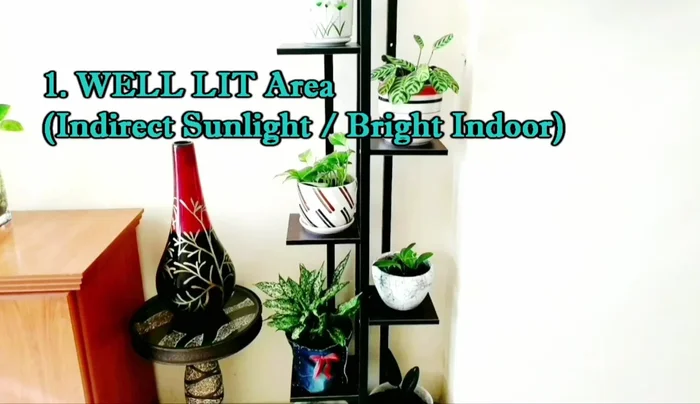 Check the available space. A vertical stand may take 40x25 cm, while a horizontal one might require 100x25 cm.