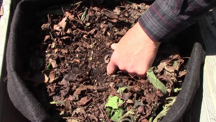 Water moderately: Check the top inch of soil before watering; avoid soggy soil.