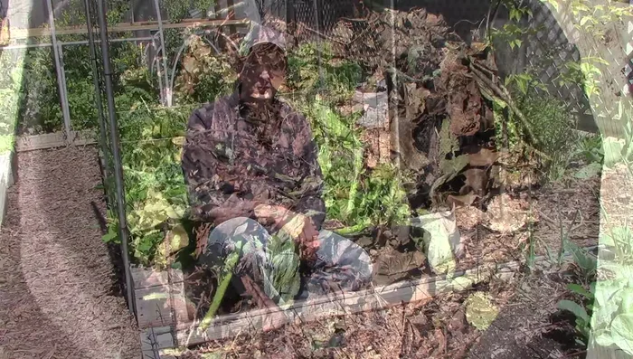 Water moderately: Check the top inch of soil before watering; avoid soggy soil.