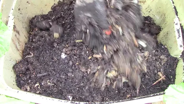 Prepare the potting mix: Combine garden soil, used potting mix, vermicompost, and coarse builder sand for good drainage and nutrient richness.