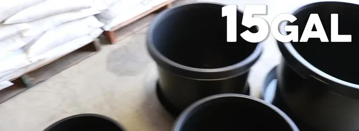 3-gallon pot: 10-inch saucer