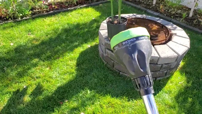 Dry the leaves with paper towels to prevent leaf burn from water droplets acting like magnifying glasses in sunlight.