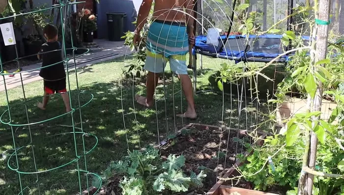 Stake pieces of ladder mesh into the ground using rebar, weaving the rebar through the mesh.