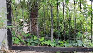 Affordable Vertical Gardening: Clever DIY Trellises & Space-Saving Ideas