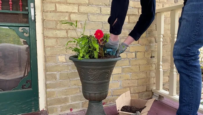 Add Needlepoint English Ivy for an overflowing look.