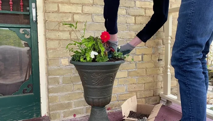 Add Corkscrew Willow branches for height.