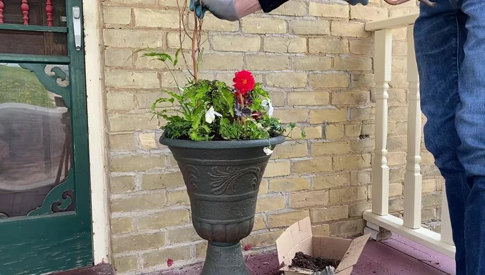 Add Corkscrew Willow branches for height.