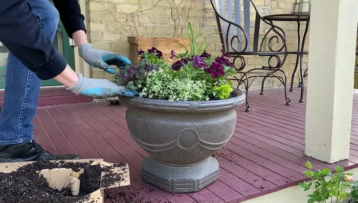 Add an Ornamental Cabbage.