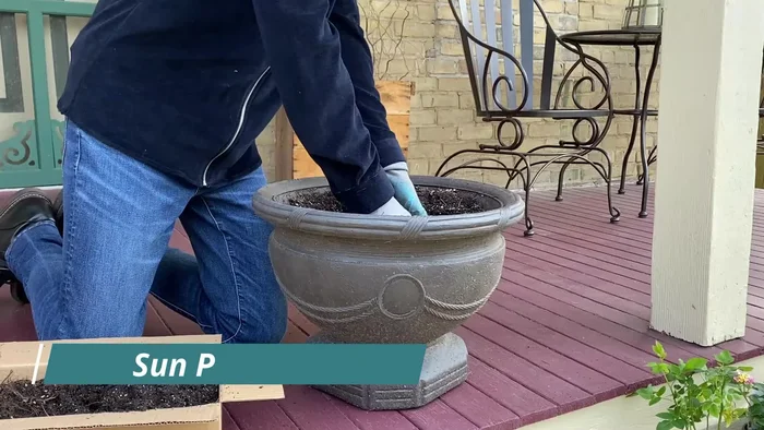Remove some potting soil to make room for plants.