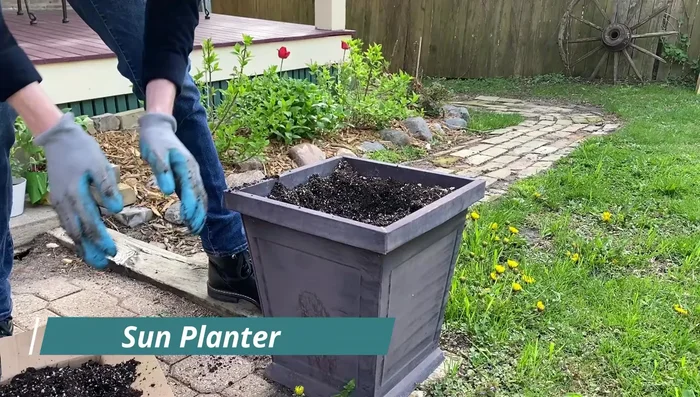 Use an Aristo Black Beauty Geranium as the focal point.