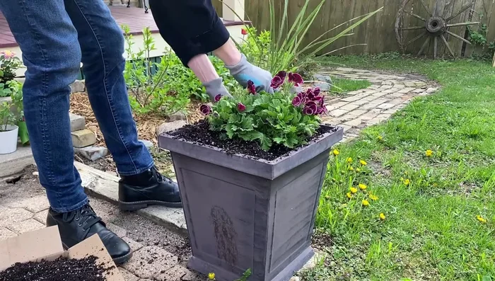 Add a spike in the back for height.