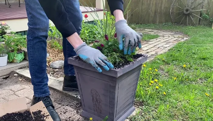 Add Needlepoint English Ivy to three corners for an overflowing look.