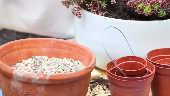 Gently brush off any gravel that may have landed on the plants.