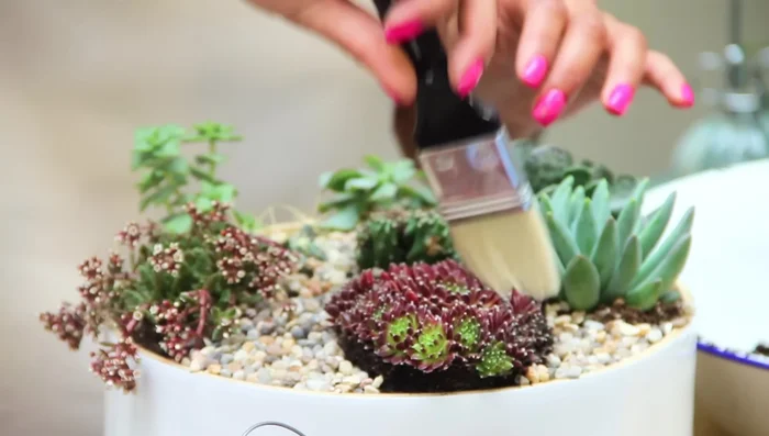 Gently brush off any gravel that may have landed on the plants.