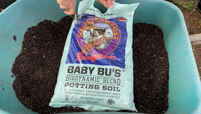 Add soil amendments such as Dr. Iron (for pH adjustment), dry molasses (for microbes), kelp meal, azomite, and humate (optional, for additional nutrients).