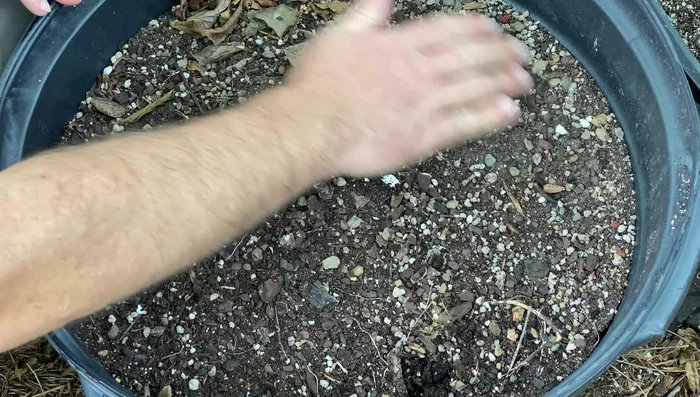Sift the potting soil to remove large chunks and debris.