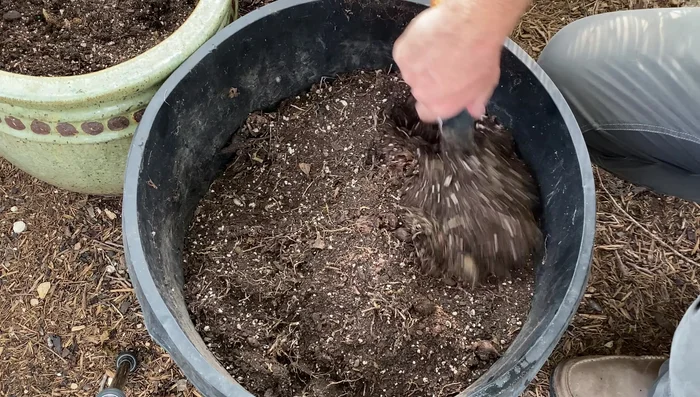 Sift the potting soil to remove large chunks and debris.