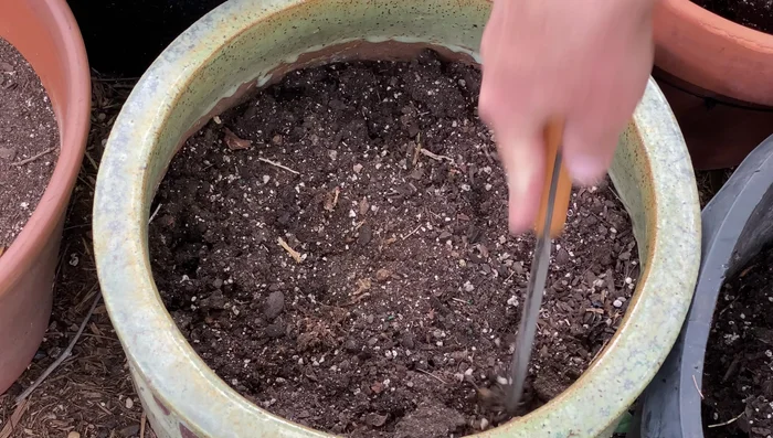 Sift the potting soil to remove large chunks and debris.