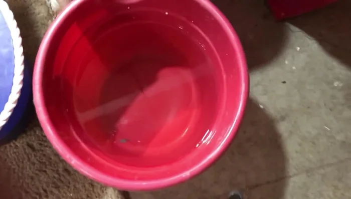 Add drainage screen to the bottom of the new pot