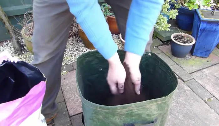 Cover potatoes with another 4-6 inches (10-15 cm) of soil and water well.