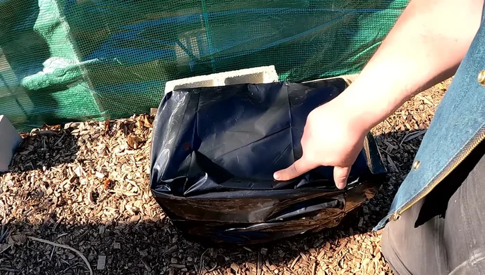 Create a drainage hole (optional) towards the bottom of the bag, away from the box edges, to prevent water from soaking the cardboard.