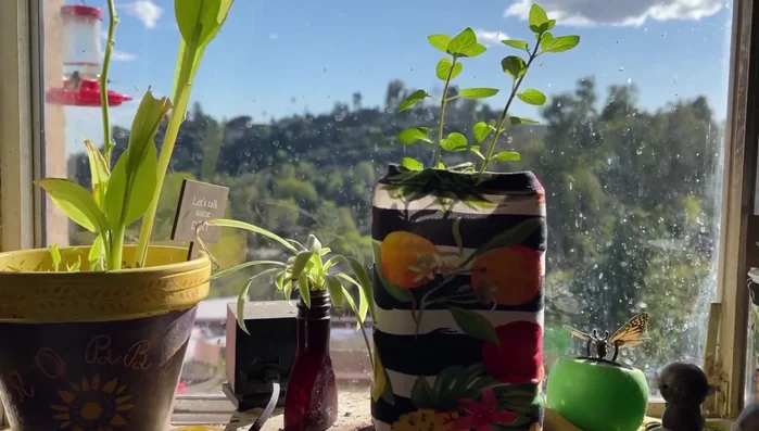 If planting directly into the container, make drainage holes. If using a double-container method for better drainage, skip this step.