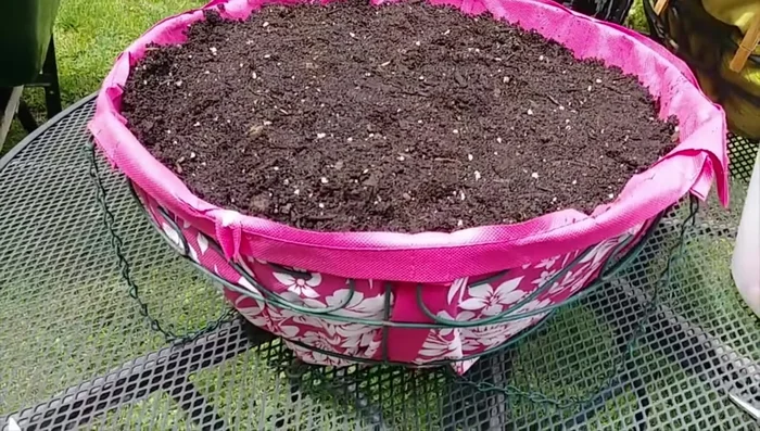 Add soil to the lined basket.
