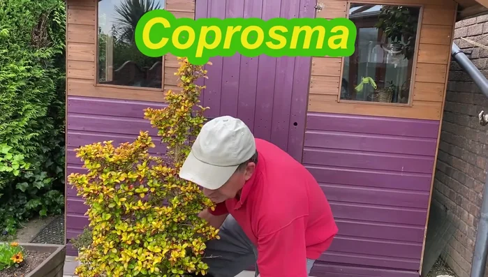 Replace pot feet with saucers.