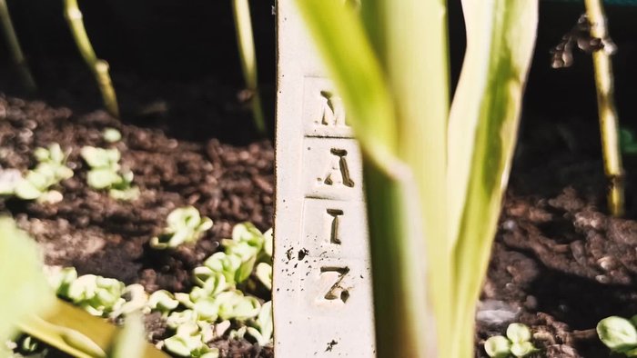 Gather your materials: air-dry clay, rolling pin, chopsticks or wooden slats, knife or cutter, water, sponge, and pen.