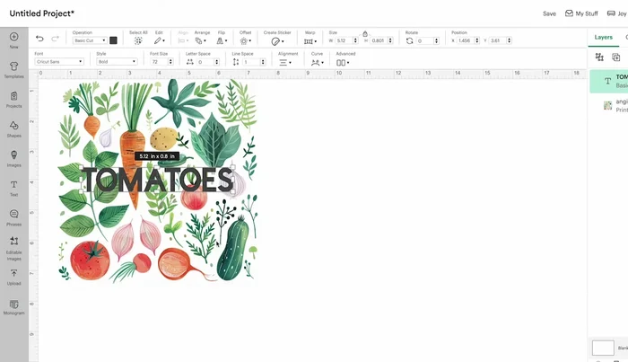 Add text, choose a font, and resize it.