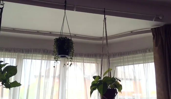 Hang plants from the command hooks.