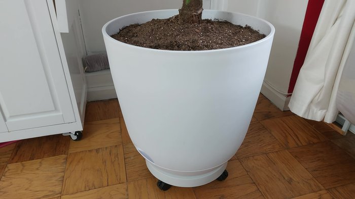 Select a caddy slightly larger than your pot's inside diameter to accommodate the curve of the pot and ensure a snug fit.