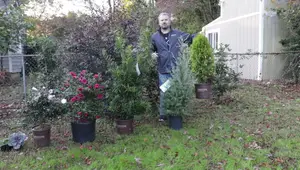 Overwintering Container Plants: The Ultimate Guide for Zone 7