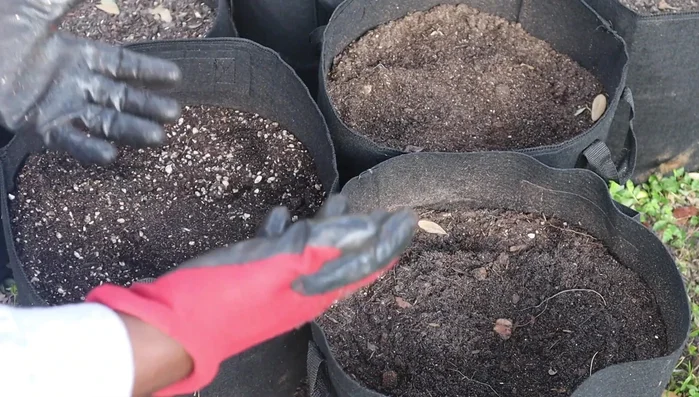 Incorporate fertilizer (bone meal, blood meal, worm castings, fish fertilizer, etc.). Adjust the type and amount based on the specific plants being grown. 