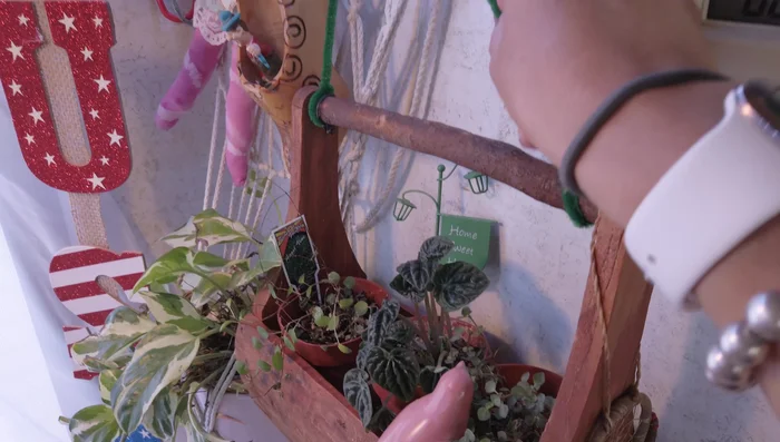 Use wire strings or wire ties to secure plants and prevent them from shifting.