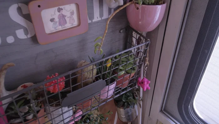 Utilize pressure to secure plants by grouping them tightly to minimize movement.