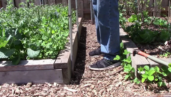 Slide the trellises onto the rebar.