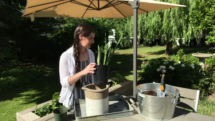Optional: Prop up the nursery pot inside the decorative planter using a small piece of wood. This improves drainage and prevents the plant from sitting in excess water.