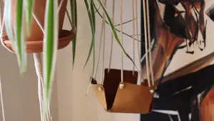 3 Easy DIY Plant Hangers & Stands: Elevate Your Home Decor