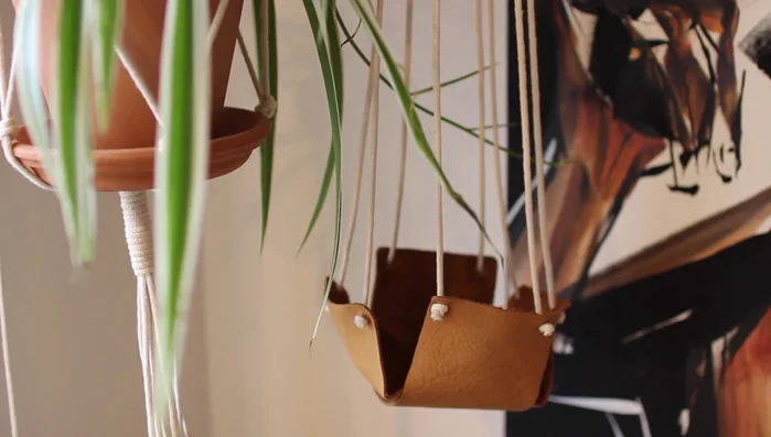 Trim excess cord and place the plant in the center, pulling the cords together to hang.