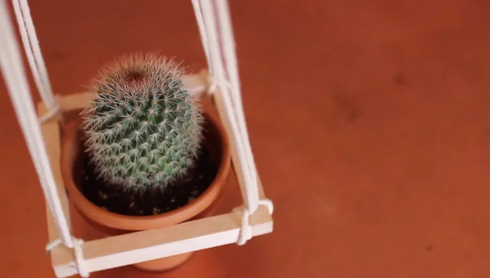 Tie a knot at the top of all the cords.